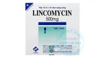 Thuốc Lincocin 500mg