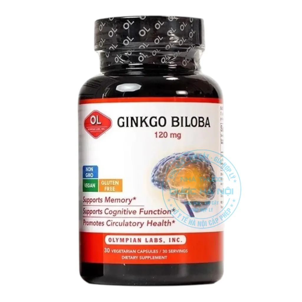 Viên uống Ginkgo Biloba 120mg