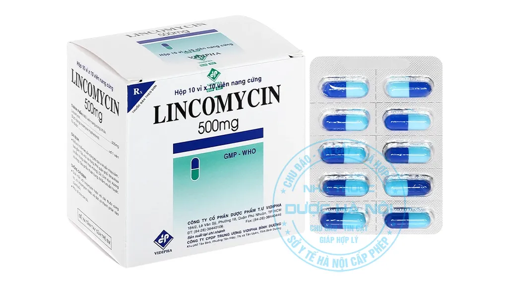 Thuốc Lincocin 500mg