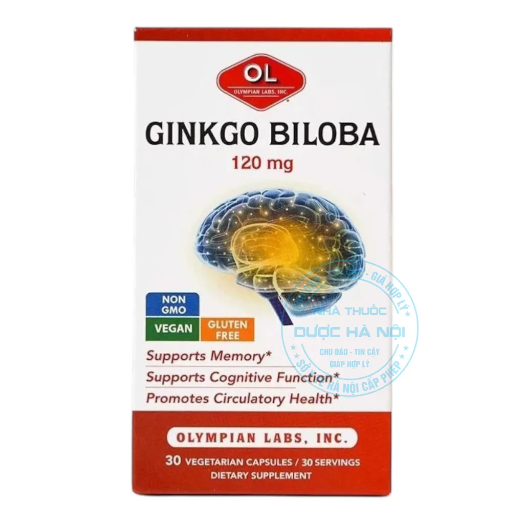 Viên uống Ginkgo Biloba 120mg