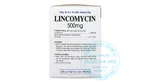 Thuốc Lincocin 500mg