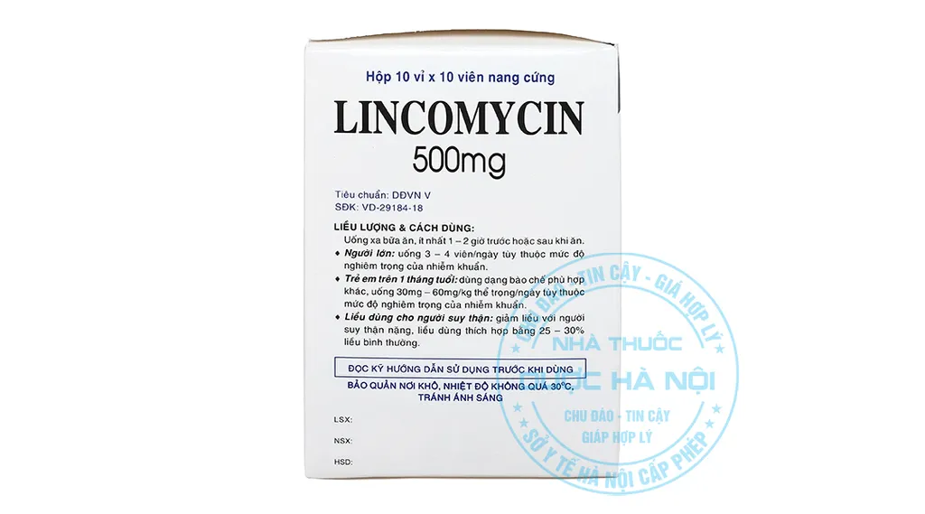 Thuốc Lincocin 500mg