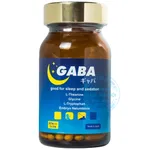 Viên uống Gaba Jpanwell