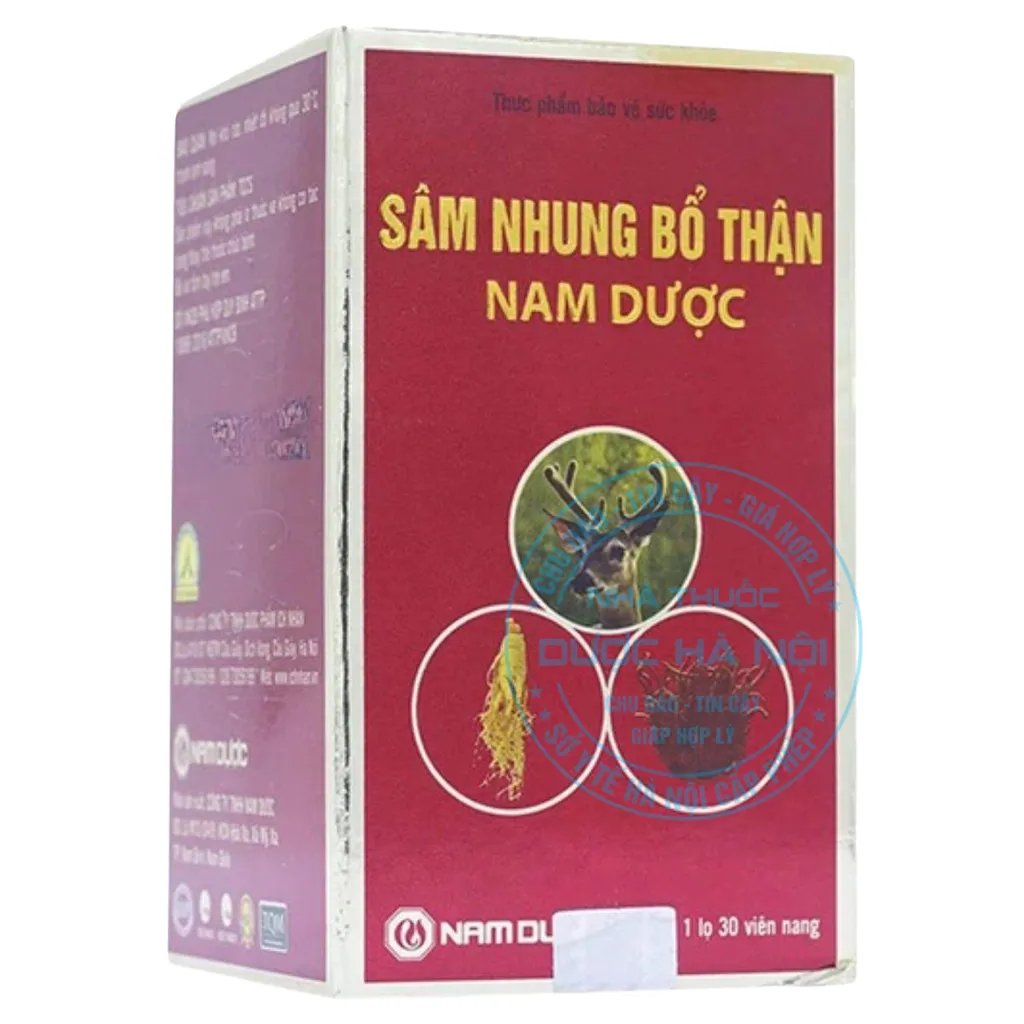 Viên uống Sâm Nhung Bổ Thận Nam Dược