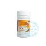 Viên uống Holly Gout Minhchien Pharma
