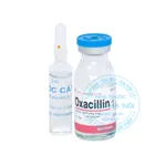 Thuốc Oxacillin 1g