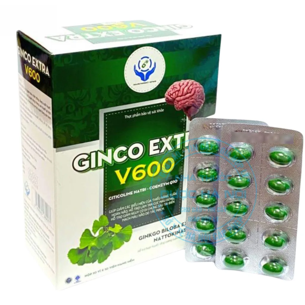 Viên uống Ginco Extra V600