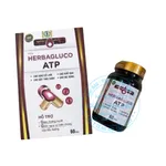 Viên uống Herbagluco ATP